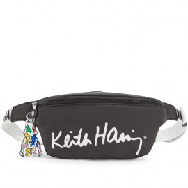 Сумка на пояс Kipling FRESH Kh Chalk Art (77U) KI7263_77U