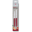 Кухонний набір Victorinox Swiss Modern Paring Set 6.9096.2L4
