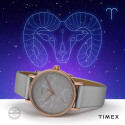 Жіночий годинник Timex CELESTIAL OPULENCE Tx2t87500