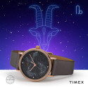 Жіночий годинник Timex CELESTIAL OPULENCE Tx2t87700