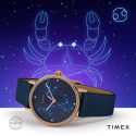 Жіночий годинник Timex CELESTIAL OPULENCE Tx2t87800