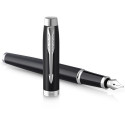 Ручка перьевая Parker IM Matte Black CT FP F 26 111