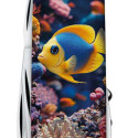 Складаний ніж Victorinox SPARTAN DESIGN Коралова рибка 1.3603.R2010pk