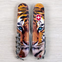 Складаний ніж Victorinox CLIMBER ANIMAL Тигр 1.3703.F1030pw