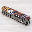 Складаний ніж Victorinox CLIMBER ANIMAL Тигр 1.3703.F1030pw