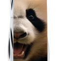 Складаний ніж Victorinox FISHERMAN ANIMAL Панда 1.4733.7.F1110pw