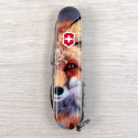 Складаний ніж Victorinox EXPLORER ANIMAL Лисиця 1.6703.7.F1060pw