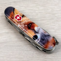 Складаний ніж Victorinox EXPLORER ANIMAL Лисиця 1.6703.7.F1060pw