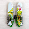 Складаний ніж Victorinox CLIMBER ZODIAC Зелена змія 1.3703.7.Z4270pk