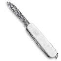 Складаний ніж Victorinox COMPANION Damast LE 2025 1.3901.J25