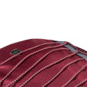 Рюкзак Victorinox Travel ALTMONT Active/Burgundy Vt602134
