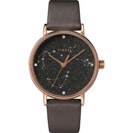 Жіночий годинник Timex CELESTIAL OPULENCE Tx2t87700