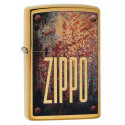 Запальничка Zippo Classics Rusty Plate Brushed Brass Zp29879