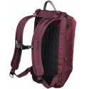 Рюкзак Victorinox Travel ALTMONT Active/Burgundy Vt602140