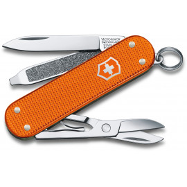 Складаний ніж Victorinox CLASSIC SD Vx06221.L21