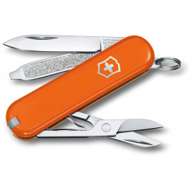 Складаний ніж Victorinox CLASSIC SD Colors 0.6223.83G