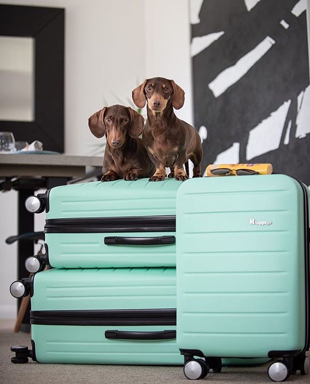 английские чемоданы IT Luggage