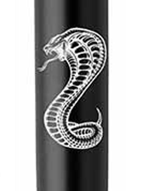 Ручка шариковая Parker JOTTER ZODIAC Bond Street Black CT BP Зеленая Змея 16232_Z401w